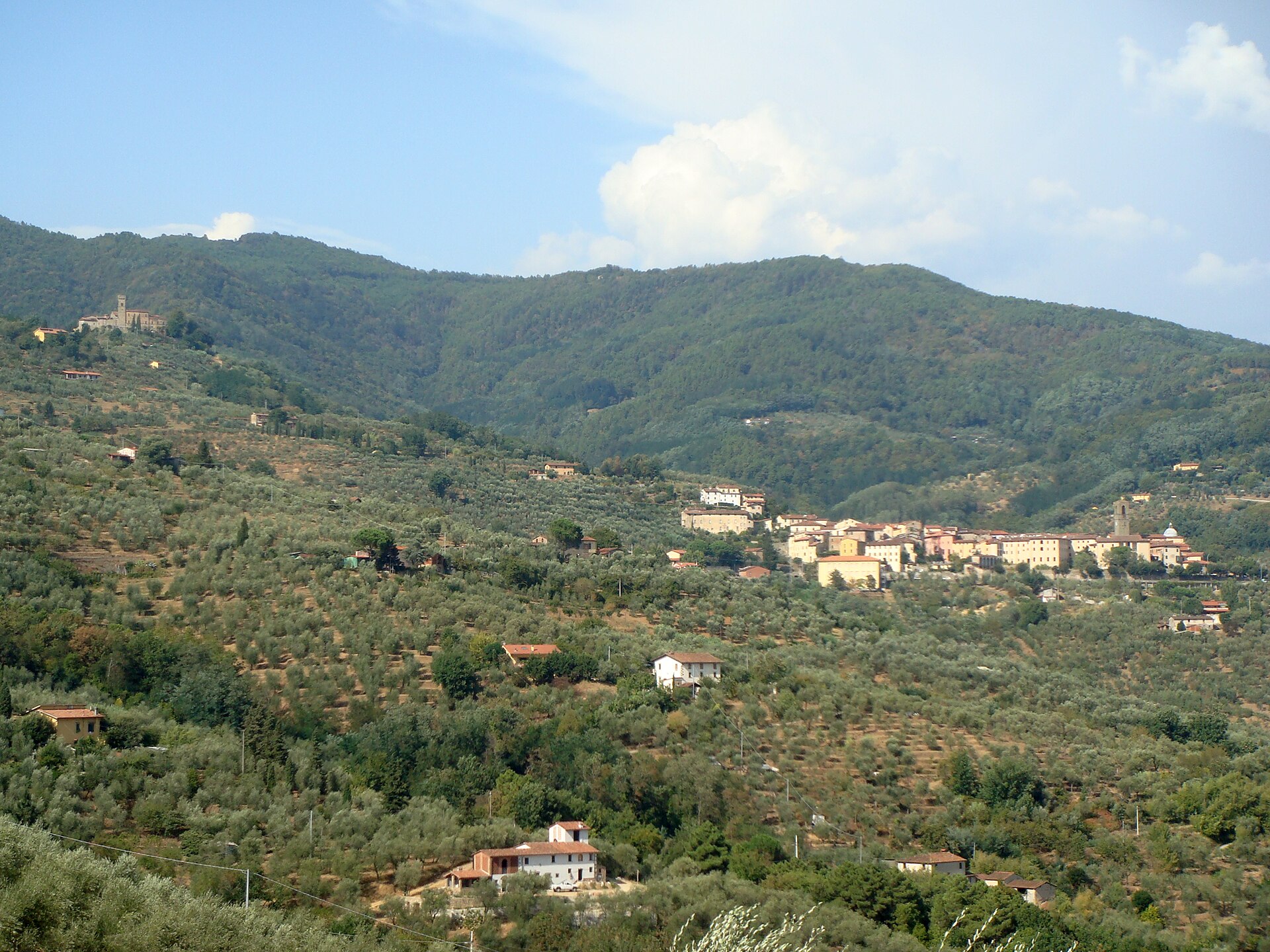 Massa e Cozzile